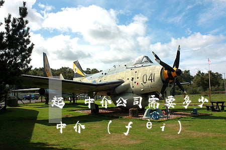 起訴中介公司需要多少錢(中介公司起訴我要中介費(fèi))