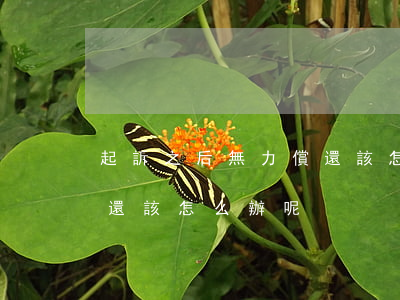 起訴之后無力償還該怎么辦(起訴之后無力償還該怎么辦呢)