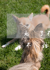 起訴了不還信用卡的人法院會怎么-起訴了不還信用卡的人法院會怎么判