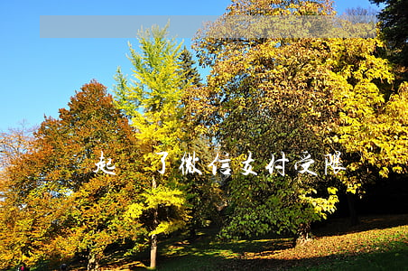 起訴了微信支付受限