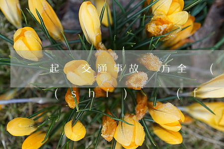 起訴交通事故對方全責(zé)的程序及時(shí)間(發(fā)生交通事故對方全責(zé))