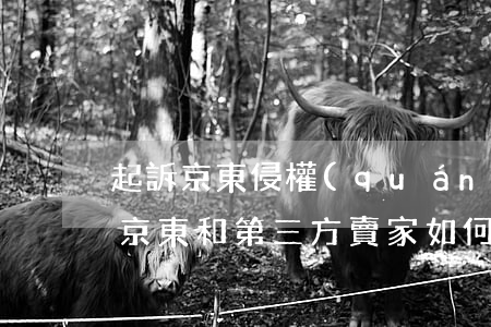 起訴京東侵權(quán)消費者(法院起訴京東和第三方賣家如何才能成功)