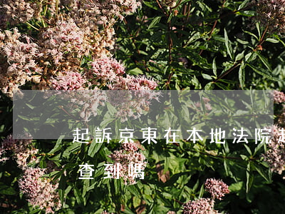 起訴京東在本地法院(起訴京東在本地法院能查到嗎)