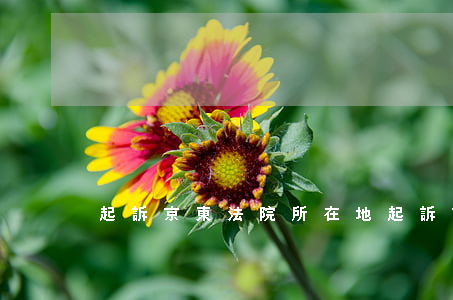 起訴京東法院所在地(起訴京東商城)
