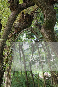 起訴京東管轄法院 起訴京東管轄法院