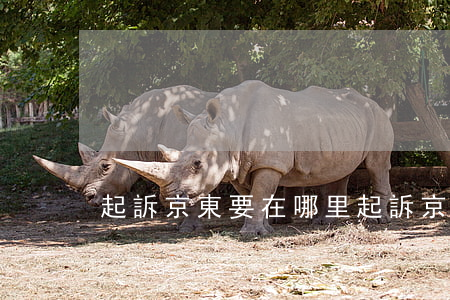 起訴京東要在哪里起訴(京東起訴流程)