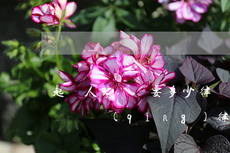 起訴人家還錢要多少律師費(fèi)(起訴還錢請(qǐng)律師按照什么價(jià)格)