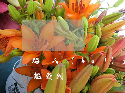 起訴人會(huì)查到支付寶嗎-起訴了能查到嗎