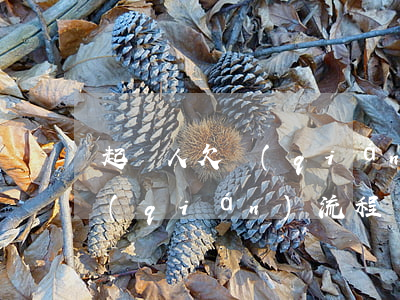 起訴人欠錢(qián)流程-起訴人欠錢(qián)流程