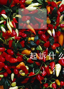 起訴什么情況強(qiáng)制執(zhí)行(被告能申請(qǐng)強(qiáng)制執(zhí)行嗎)