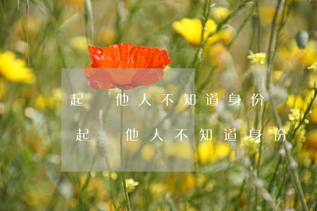 起訴他人不知道身份證號(hào)怎么辦(起訴他人不知道身份證號(hào)怎么辦?)