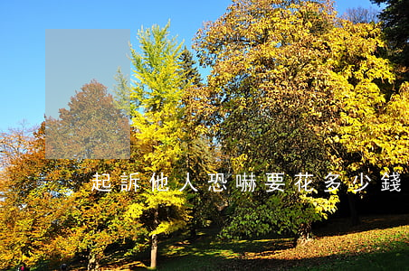 起訴他人恐嚇要花多少錢(起訴別人要多少錢)