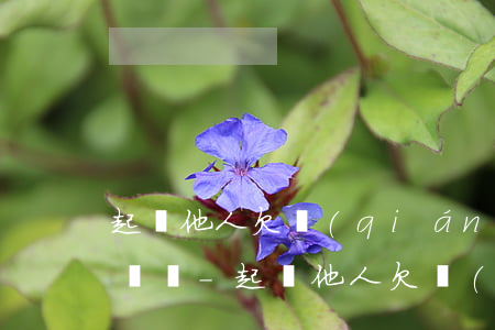 起訴他人欠錢(qián)卻輸了有什么影響嗎-起訴他人欠錢(qián)卻輸了有什么影響嗎怎么辦