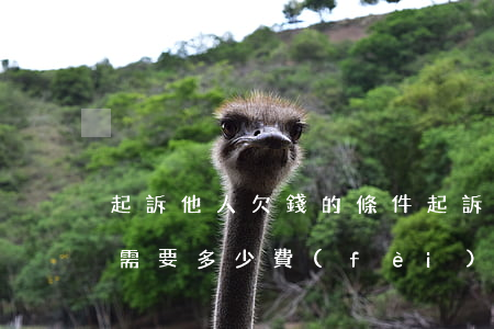 起訴他人欠錢的條件(起訴別人欠錢不還流程需要多少費(fèi)用由誰出)