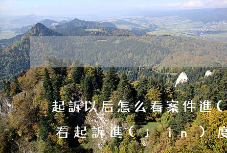 起訴以后怎么看案件進(jìn)度(如何查看起訴進(jìn)度)