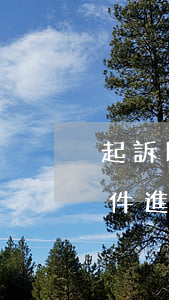 起訴以后怎么看案件進度(起訴以后怎么看案件進度)