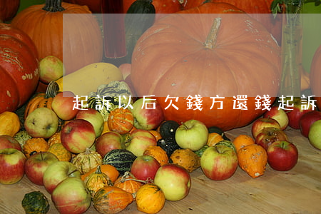 起訴以后欠錢方還錢(起訴以后欠錢方還錢)