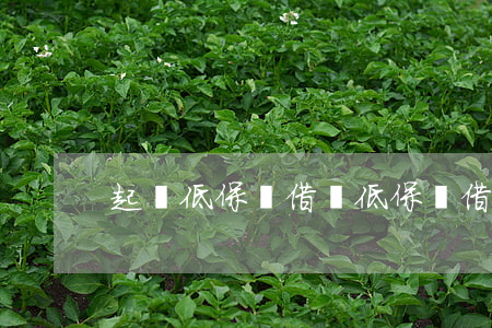 起訴低保戶借錢(低保戶借錢不還怎么辦)