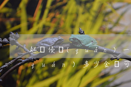 起訴侵權(quán)一般賠多少錢(侵權(quán)多少金額可以起訴)