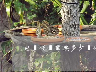起訴侵權需要多少錢(侵權需要賠多少錢)