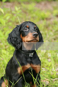 起訴保險(xiǎn)公司起訴書(shū)怎么寫(xiě)(起訴保險(xiǎn)公司起訴書(shū)怎么寫(xiě)模板)