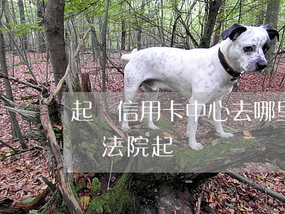 起訴信用卡中心去哪里起訴?(信用卡起訴在哪個法院起訴)