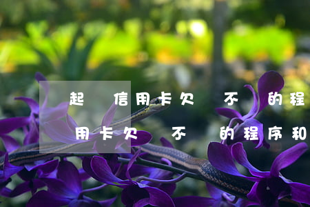 起訴信用卡欠錢不還的程序和費用-起訴信用卡欠錢不還的程序和費用是什么