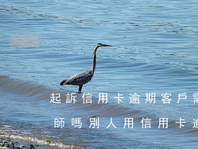 起訴信用卡逾期客戶需要請(qǐng)律師嗎(別人用信用卡逾期可以起訴嗎)