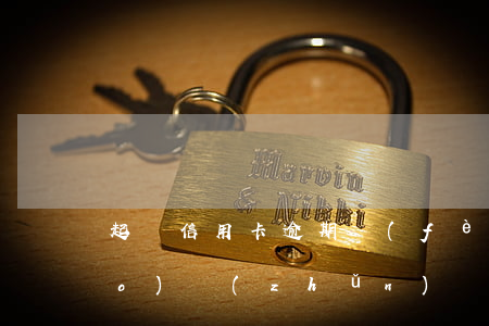 起訴信用卡逾期費(fèi)用標(biāo)準(zhǔn)(銀行信用卡逾期多少錢會(huì)被起訴)