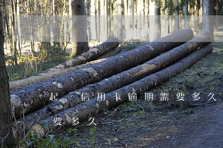 起訴信用卡逾期需要多久(起訴信用卡逾期需要多久)