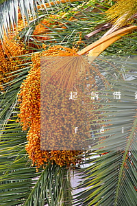起訴借錢不還要多少錢(借錢不還起訴收費(fèi)標(biāo)準(zhǔn))