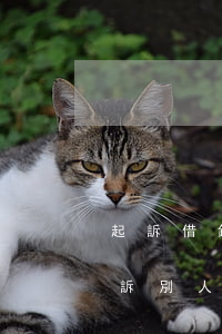 起訴借錢人父母(父母借錢給別人子女可以起訴別人嗎)