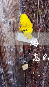 起訴借錢的人怎么找-起訴借錢的人不還錢怎么辦