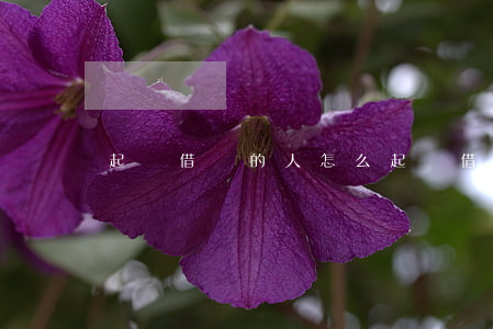 起訴借錢的人怎么起訴（借錢起訴對方怎么辦）
