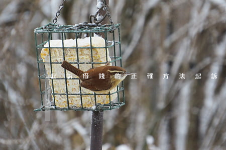 起訴借錢的正確方法(起訴借款流程)