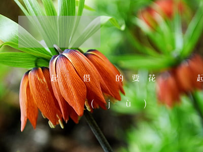 起訴借錢的要花錢嗎(起訴借錢不還需要什么證據(jù))