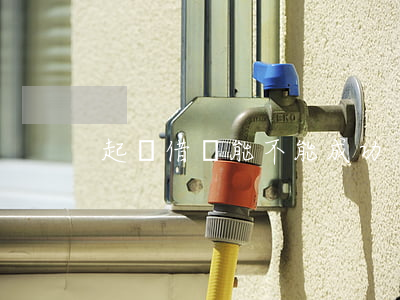 起訴借錢能不能成功