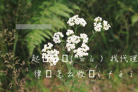 起訴債務(wù)找代理律師 欠款起訴委托律師怎么收費(fèi)