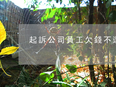 起訴公司員工欠錢不還(起訴公司欠工資流程)