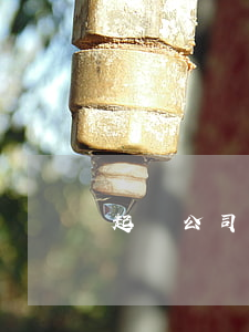 起訴公司欠錢(qián)怎么辦