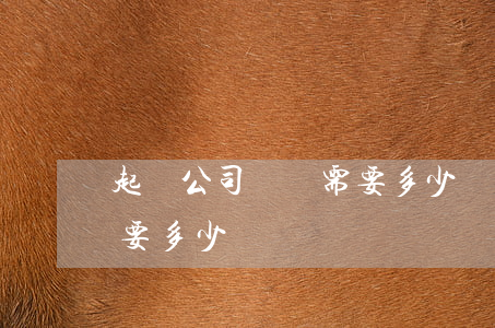 起訴公司詐騙需要多少錢(被詐騙起訴一個人要多少錢)