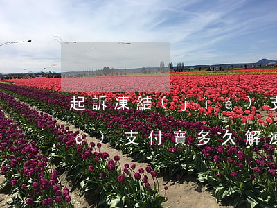 起訴凍結(jié)支付寶(起訴凍結(jié)支付寶多久解凍)