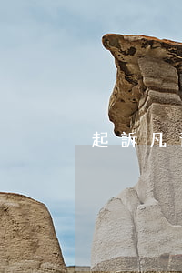 起訴凡普的案例（凡普信逾期起訴）