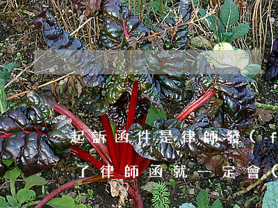 起訴函件是律師發(fā)的嗎(發(fā)了律師函就一定會(huì)起訴嗎)