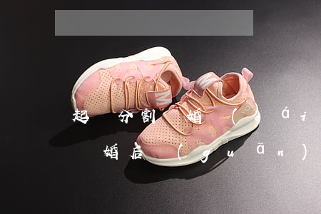 起訴分割離婚財(cái)產(chǎn)(離婚后關(guān)于財(cái)產(chǎn)分割的起訴狀)
