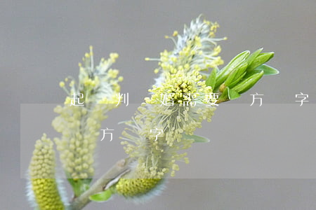 起訴判離婚需要雙方簽字嗎(起訴判離婚需要雙方簽字嗎)
