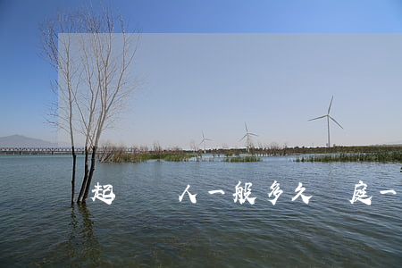起訴別人一般多久開庭(一般被起訴多久開庭)