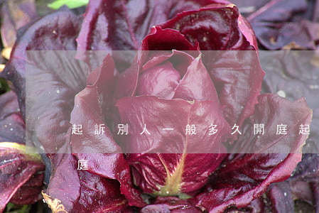 起訴別人一般多久開庭(起訴一個人多久能開庭)