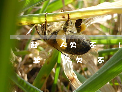 起訴別人欠錢不還對(duì)方有抑郁癥(起訴別人欠錢不還對(duì)方有抑郁癥能起訴嗎)