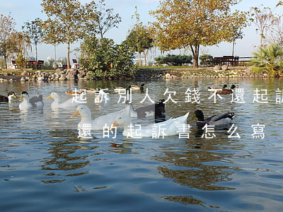 起訴別人欠錢不還起訴狀怎么寫(起訴欠錢不還的起訴書怎么寫)